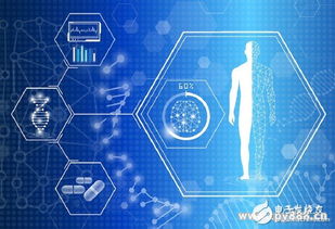 ai 医疗 的六大应用场景成现实