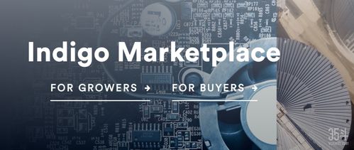 数智融合，重塑价值——2021年农业食品行业数字化趋势展望